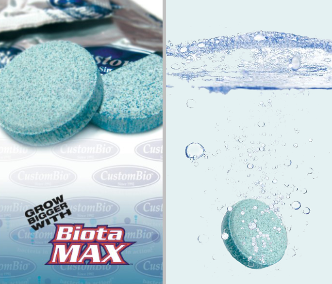 BiotaMax 발포정 토양생균제